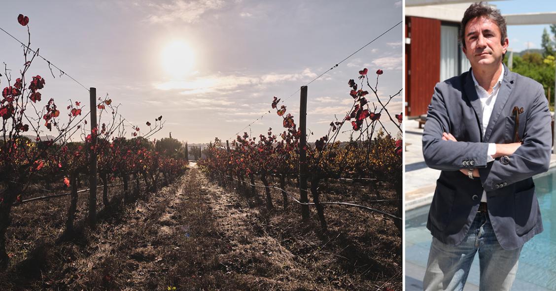 “O vinho, a enologia, é a alma do L’AND Vineyards"