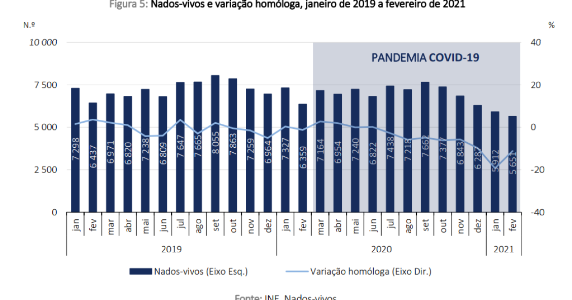 Natalidade trava a fundo em 2021