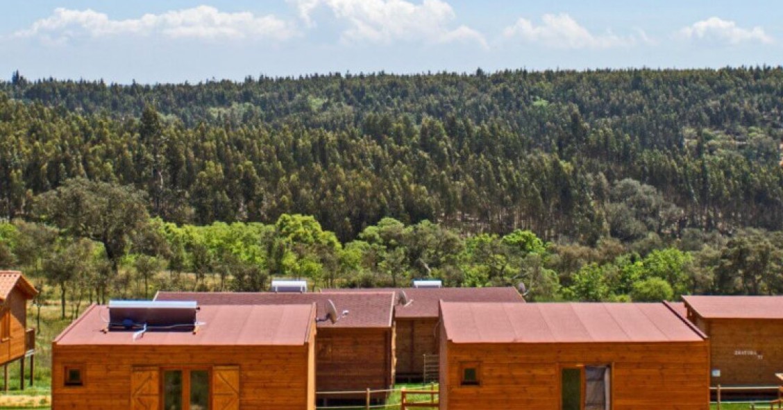 Zmar: menos de metade das 260 casas de madeira foram legalizadas