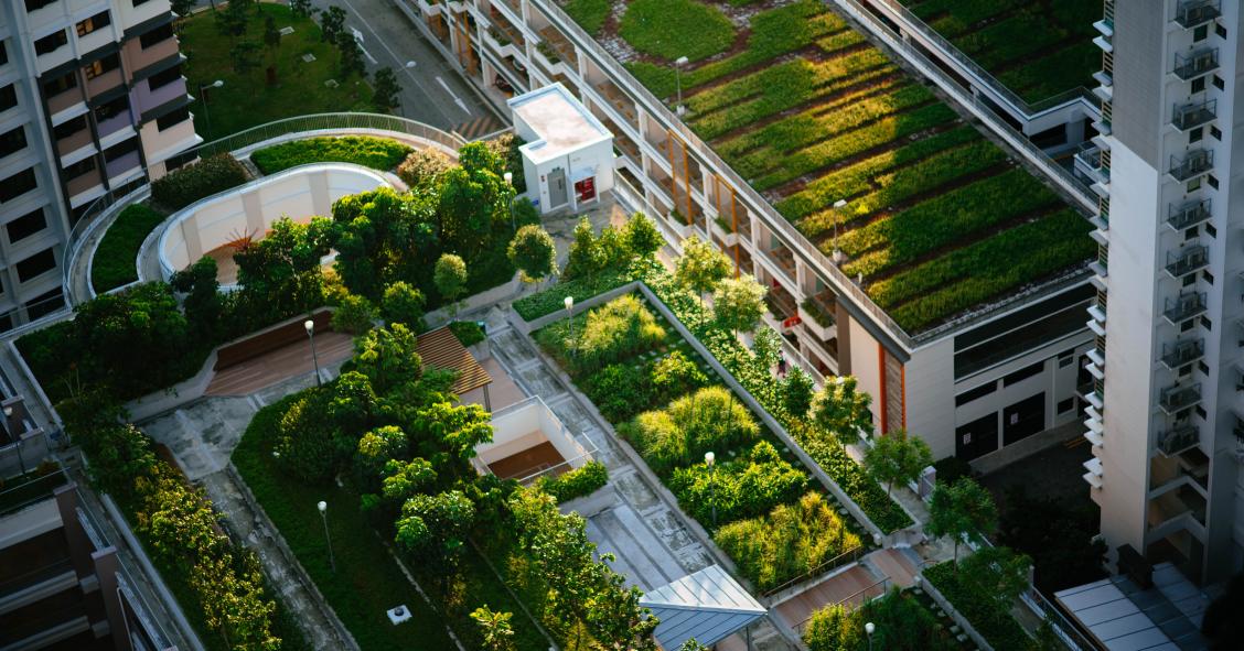 Mestrado em Cidades Sustentáveis e Inteligentes em Coimbra