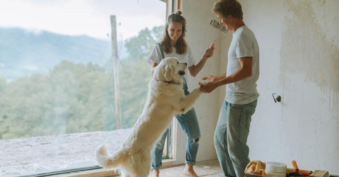 Animais de estimação em Espanha