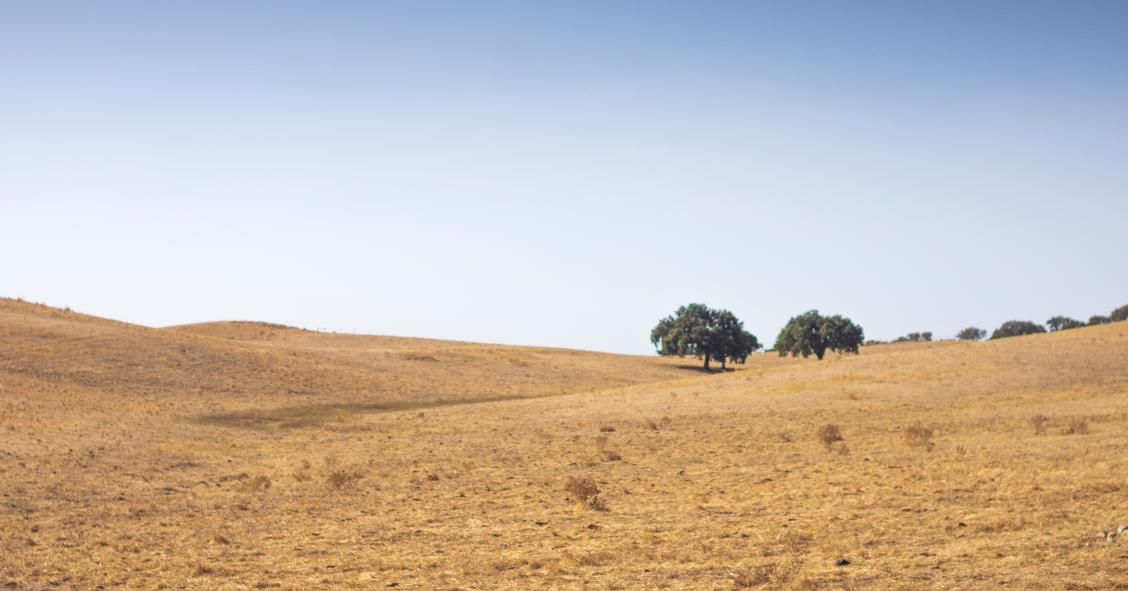 Terrenos e heranças em Portugal