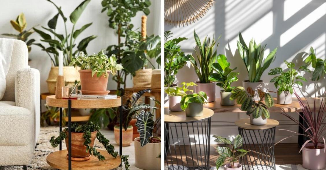 Jardim interior