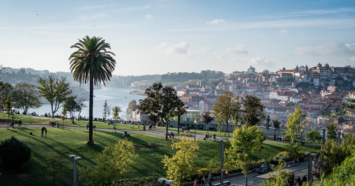 Porto: Carta Municipal da Habitação concluída em 2023