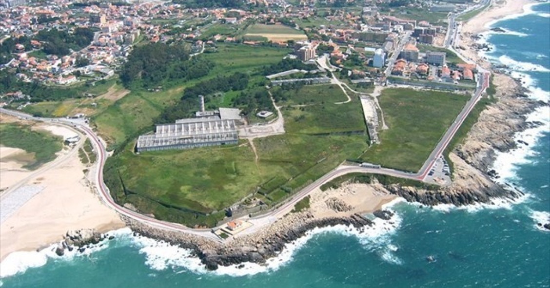 seca do bacalhau