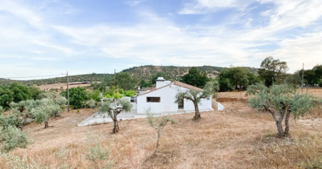 monte da borrega