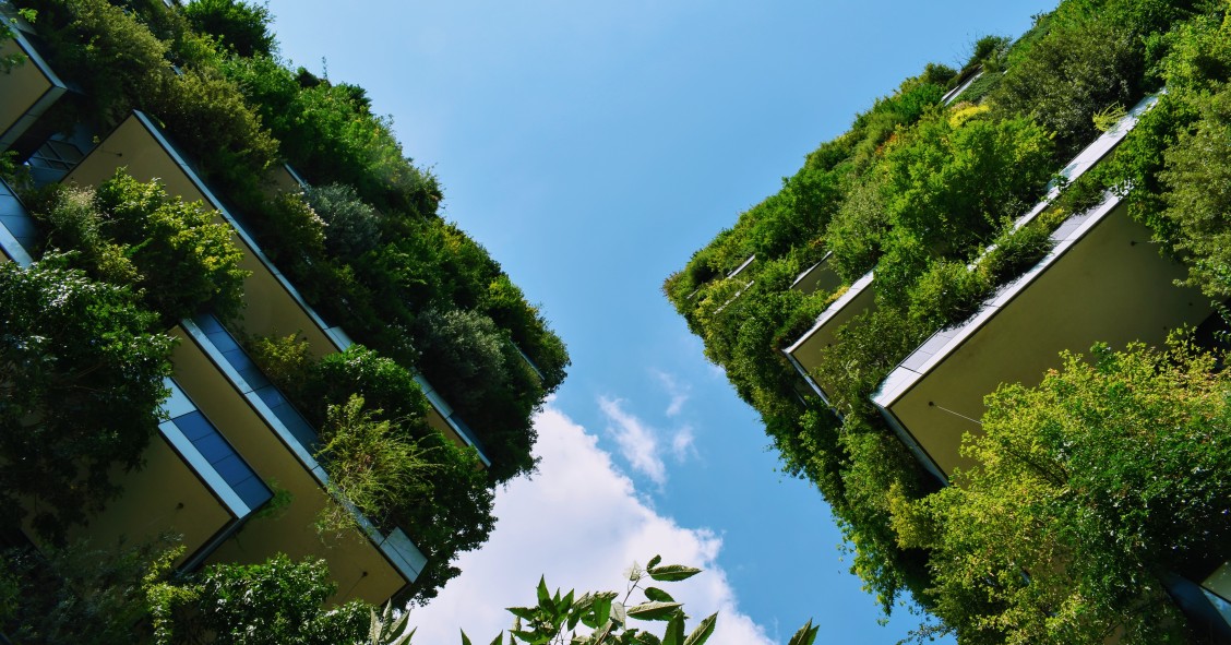 sustentabilidade