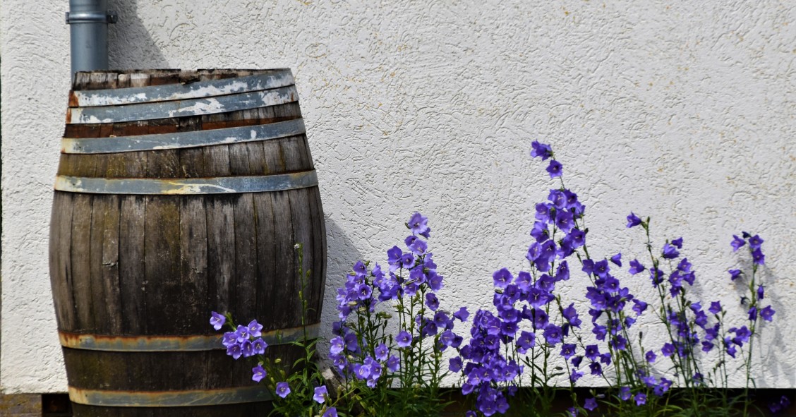 Barril de chuva: apontamento decorativo e sustentável para o jardim