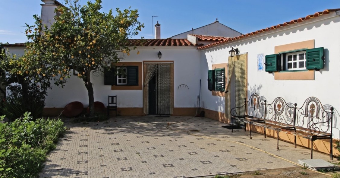 Casas à venda com espaço para uma estufa