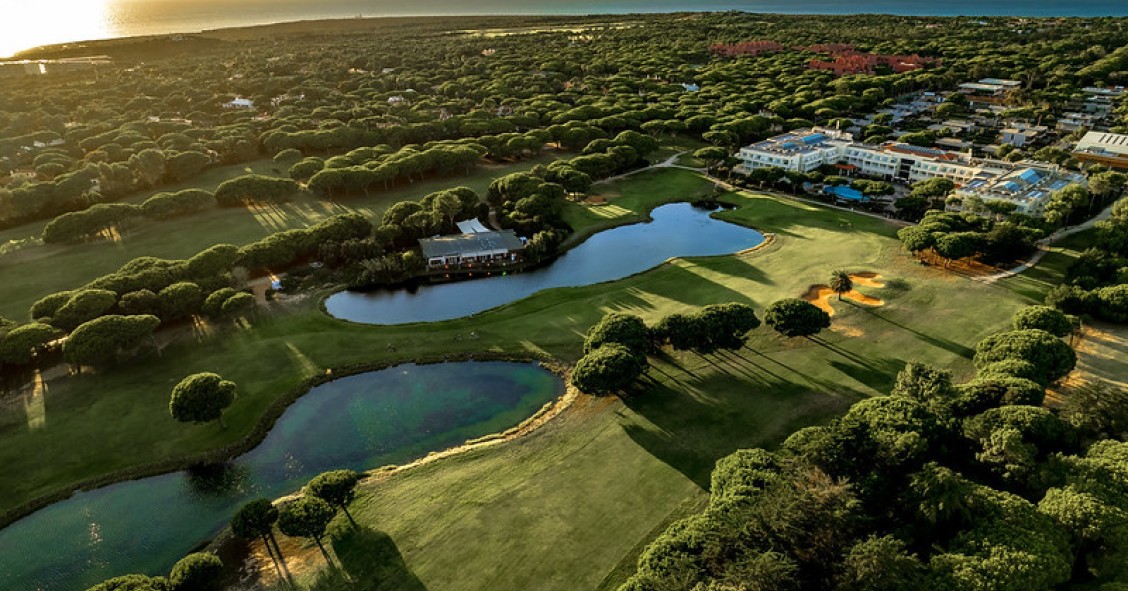 Grupo Onyria está a crescer