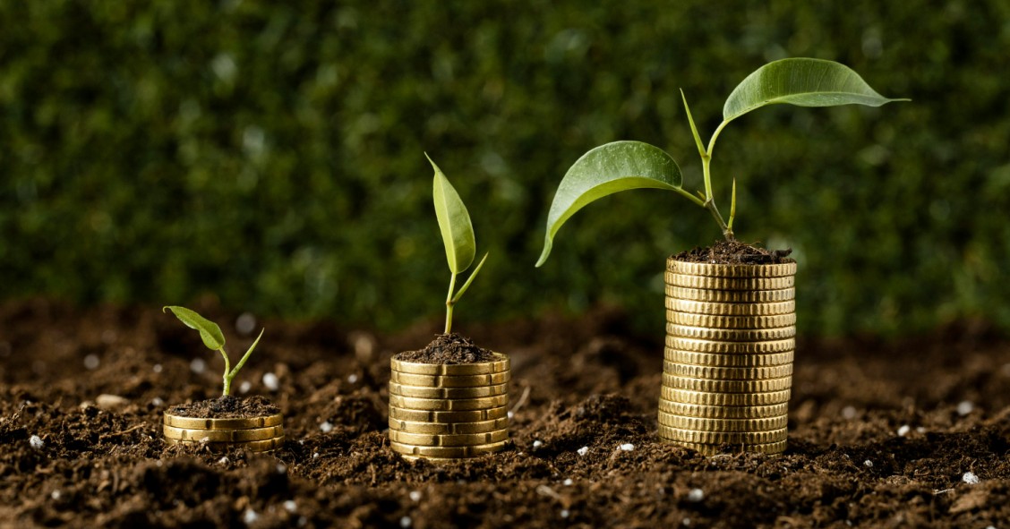 saber investir dinheiro