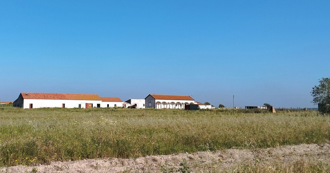 Quinta Palmela