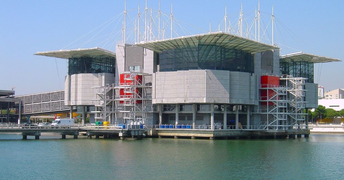 o que ver no oceanário de lisboa