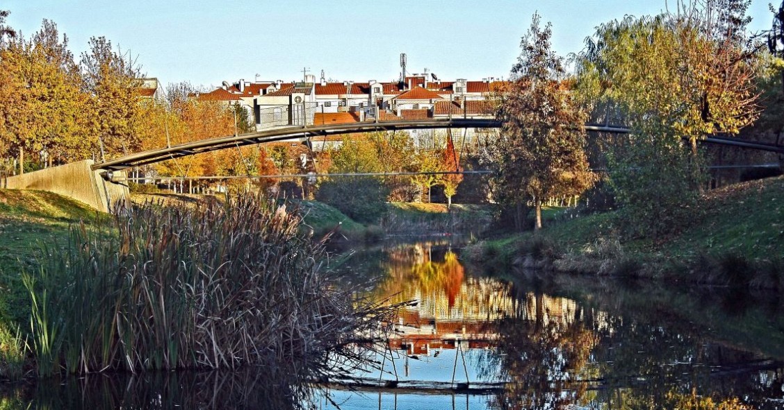 Viseu