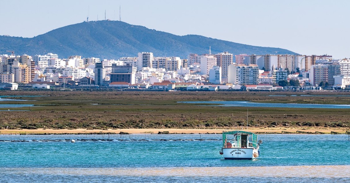 Faro
