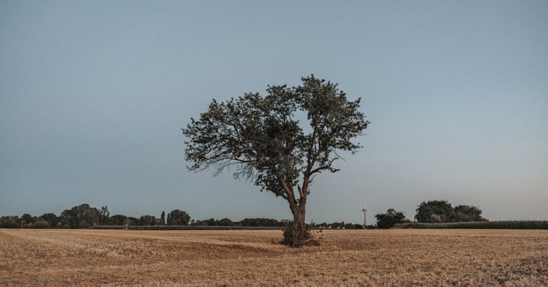 Terrenos rústicos para construir casas