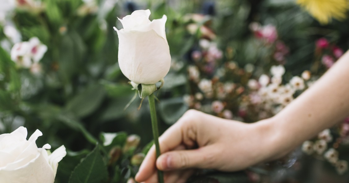 Rosas