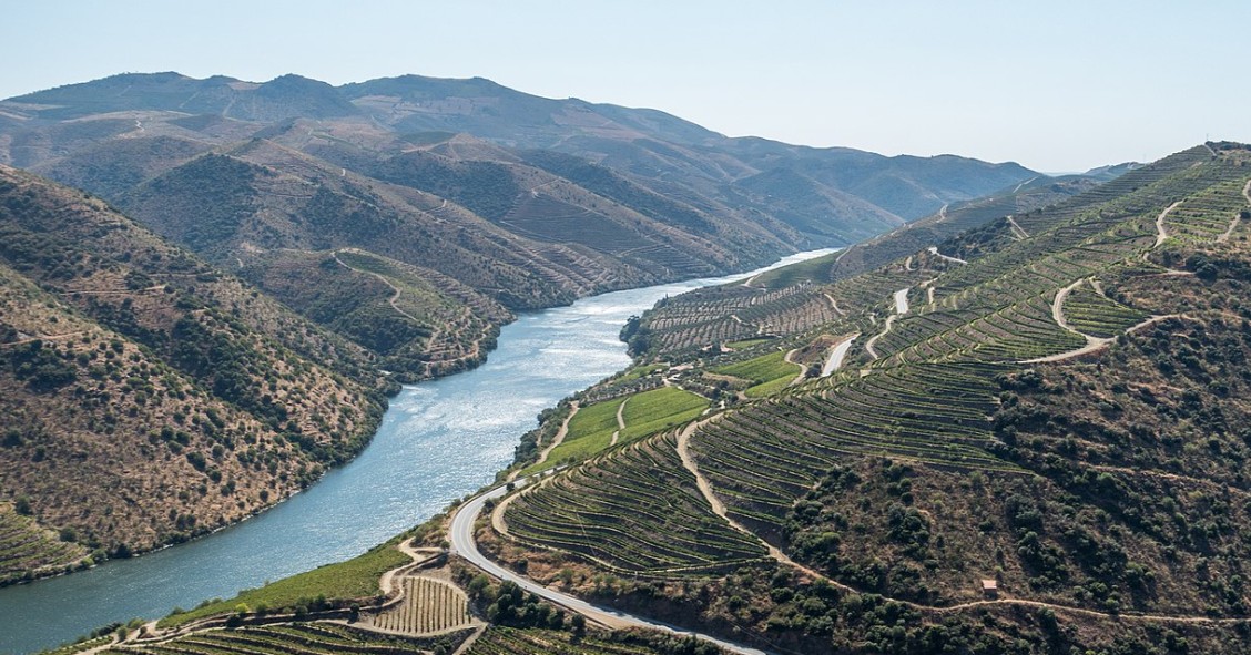 Douro Vinhateiro