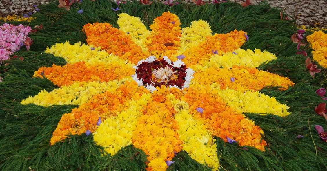 Festa da Flor