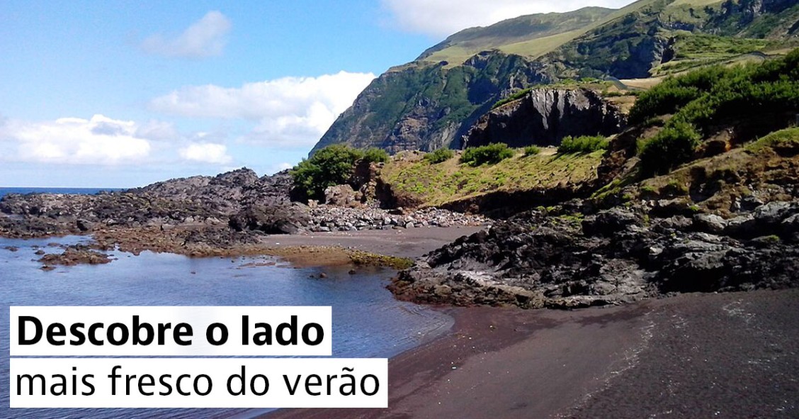 Fugir do calor do verão