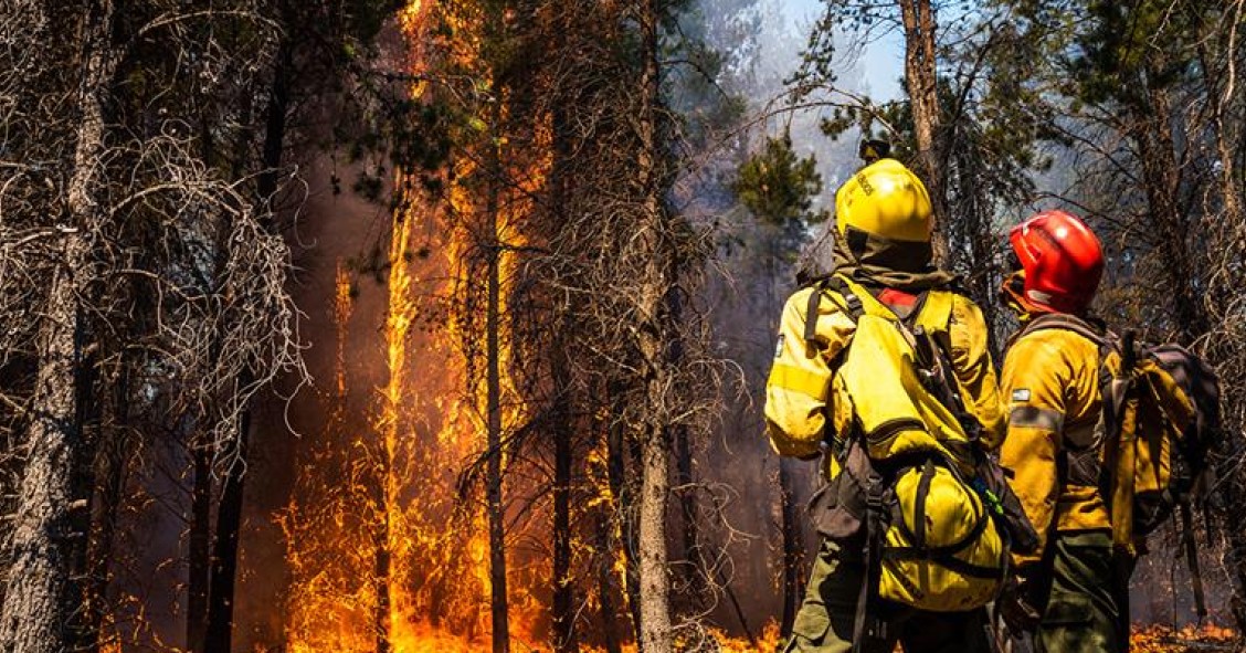 Incêndios