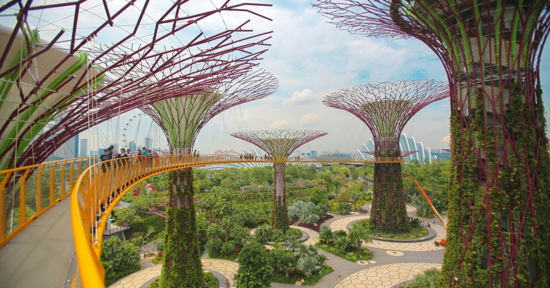 Jardins suspensos