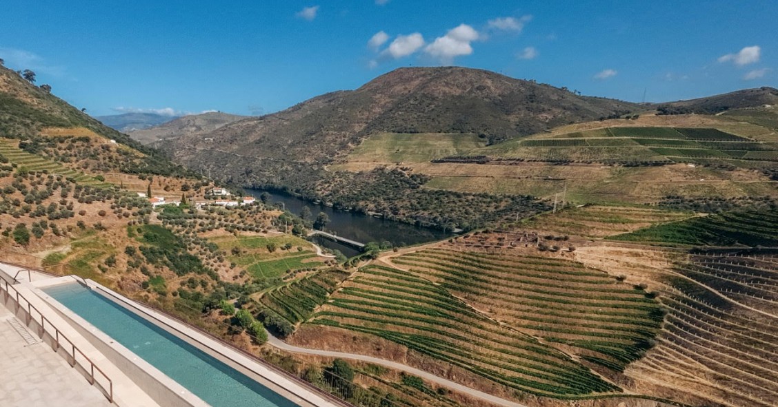 Quinta do Pacheca Group