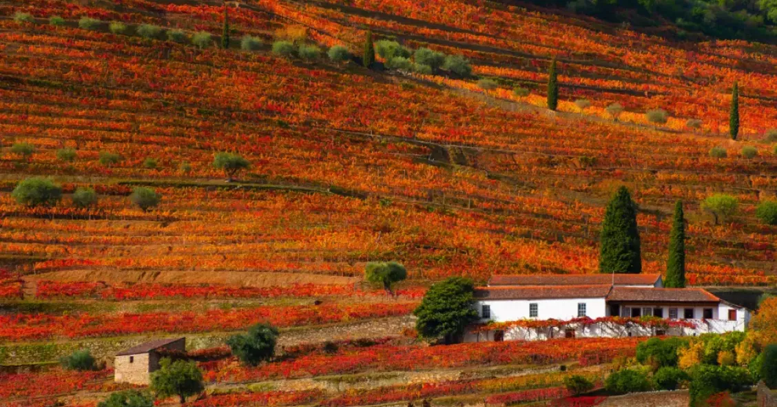 Portugal im Herbst