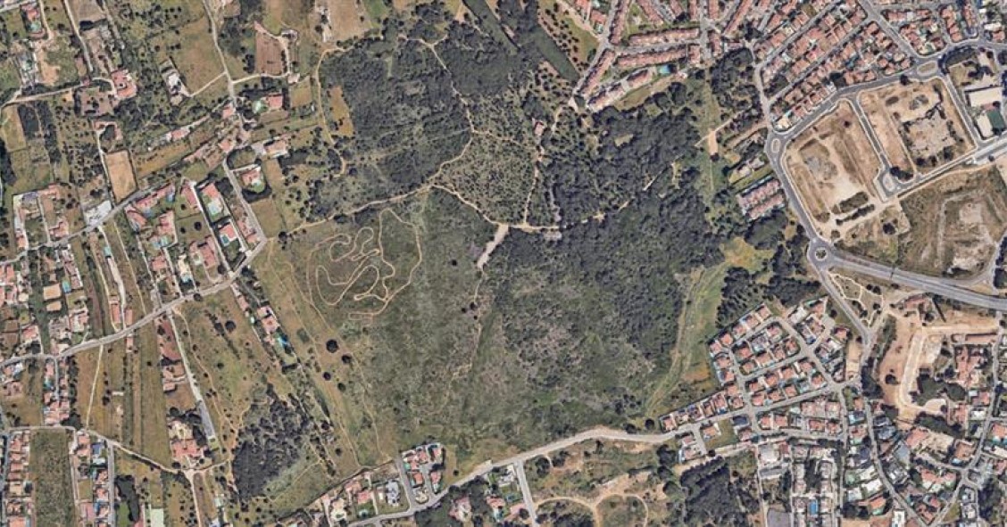 Cascais compra terrenos para habitação