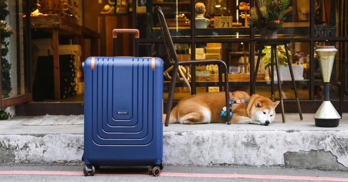 Cão deitado junto a uma mala