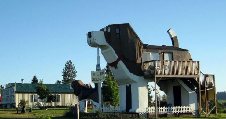 dog bark park inn: um paraíso para animais de estimação e donos (fotos)