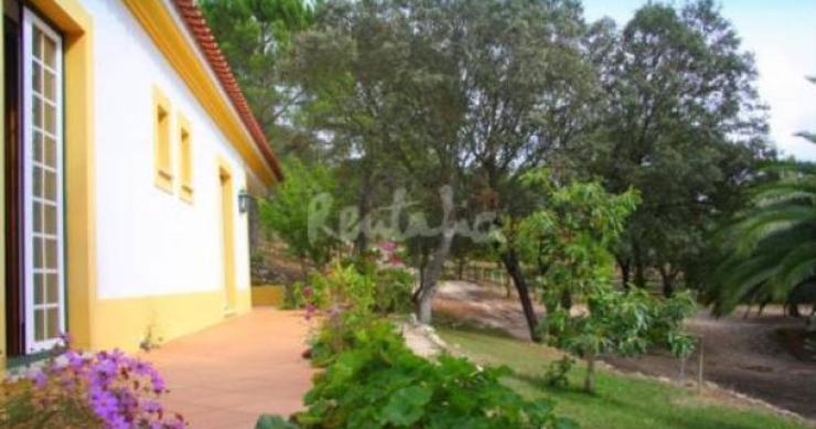 uma escapadela num verdadeiro refúgio de natureza em tomar com direito a piscina casa de fim-de-semana: colher fruta e legumes numa quinta com piscina mergulhada na natureza (fotos)