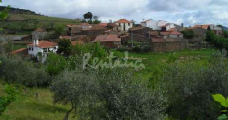 casas de fim-de-semana: descobrir o campo nas montanhas de bragança (fotos)