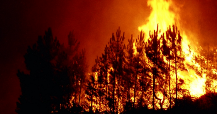 esta terça-feira de manhã estavam dezasseis incêndios florestais activos em portugal espanha e frança ajudam portugal no combate aos incêndios