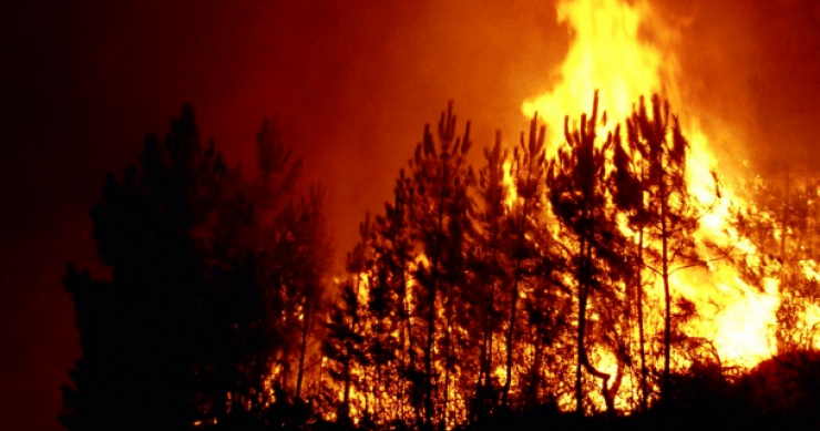 espanha e frança ajudam portugal no combate aos incêndios