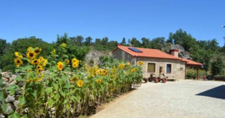 casas de fim-de-semana: relaxar na paz e na tranquilidade do sabugal (fotos) 