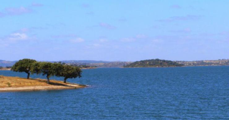 grupo sip turismo ia construir o empreendimento turístico roncão d'el rei, nas margens do alqueva alqueva: dívida das empresas insolventes da saip ronda os 53 milhões de euros