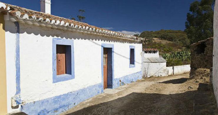 jovens portugueses apostam na agricultura. estrangeiros investem em casas de charme casas rurais: quem está a investir na vida no campo