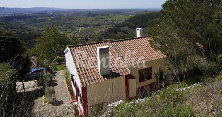 A casa tem três quartos e está localizada em Igreja Nova, Mafra, nos arredores de Lisboa. casas de fim-de-semana: relaxar na paz do campo na acolhedora vila de marvão (fotos)