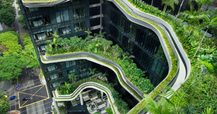 Este hotel já conquistou 12 prémios. PARKROYAL on Pickering: Um hotel em Singapura “mascarado” de floresta (fotos)