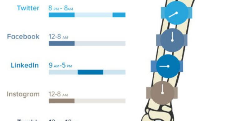 Radiografia do dia: As piores horas para publicar informações nas redes sociais 