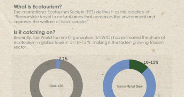 Radiografia do dia: O crescimento do turismo ecológico