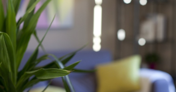 O objeto decorativo que nos acompanha e nos define desde sempre!