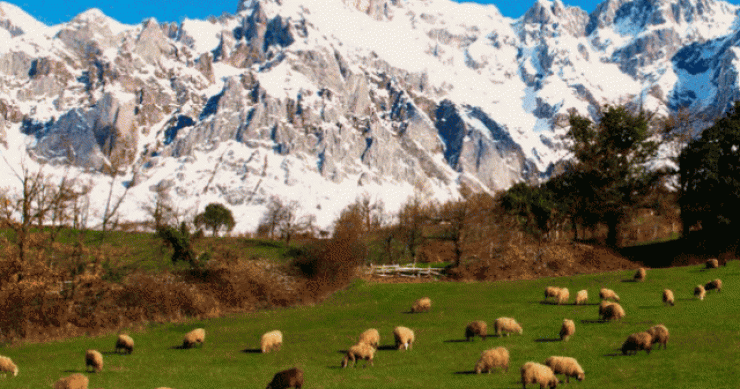 Aldeia com vistas espetaculares para os Picos da Europa está à venda por 850 mil euros negociáveis (fotos)