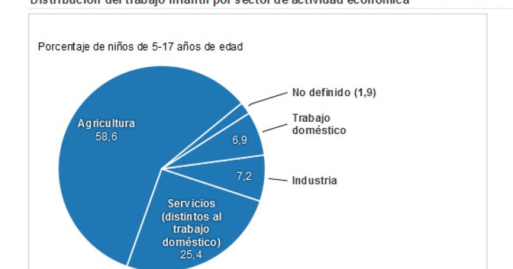 Radiografia do dia: Em que trabalham as crianças?
