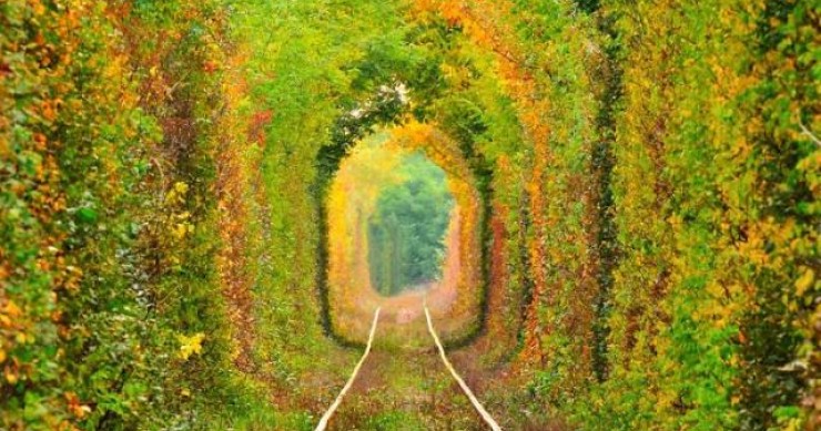 As 15 ruas mais mágicas do mundo à sombra de flores e árvores (fotos)