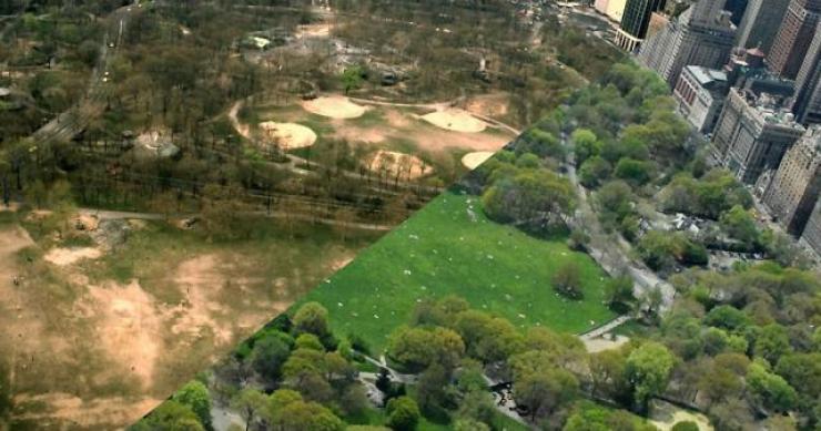 Assim mudou o Central Park desde os violentos anos 80 (fotos) 