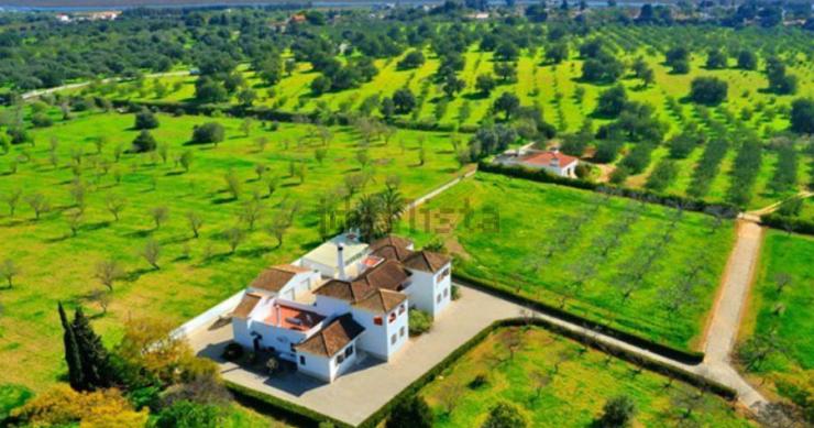 As casas da semana (de 19 a 23 de janeiro de 2015)