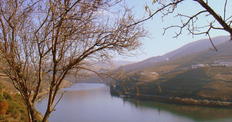 Hotéis no Douro a duas velocidades: falências e novos investimentos marcam a zona norte