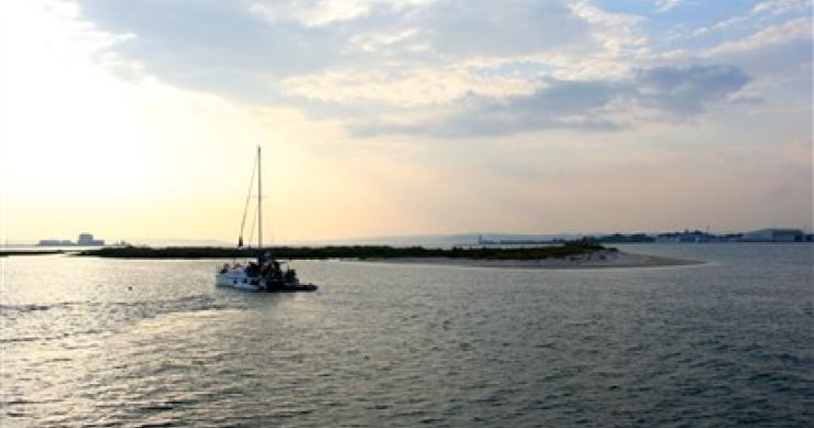 Queres ter uma ilha só para ti? Há uma à venda no Tejo, com vista para Lisboa